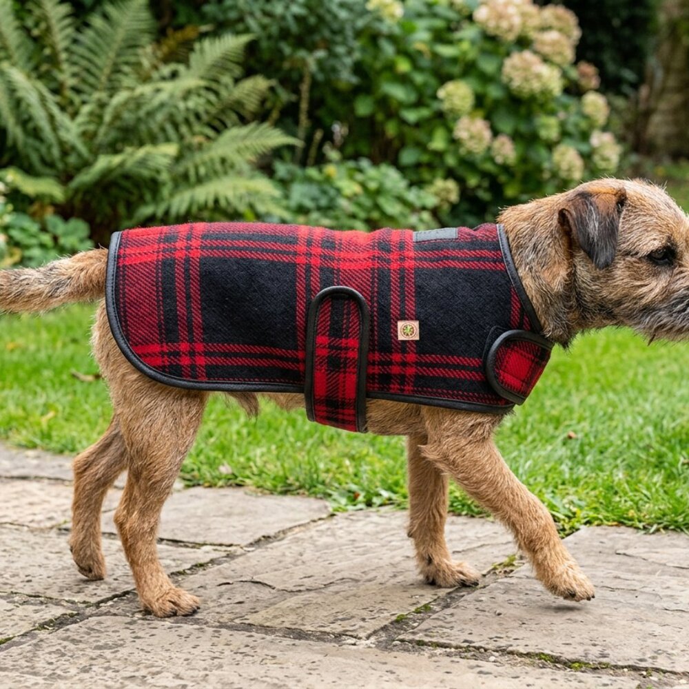 Chilly Dog Red and Black Plaid Blanket Dog Coat